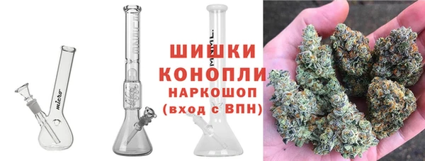 a pvp Аркадак