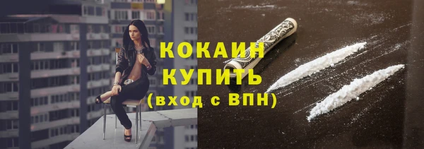 тгк Арсеньев