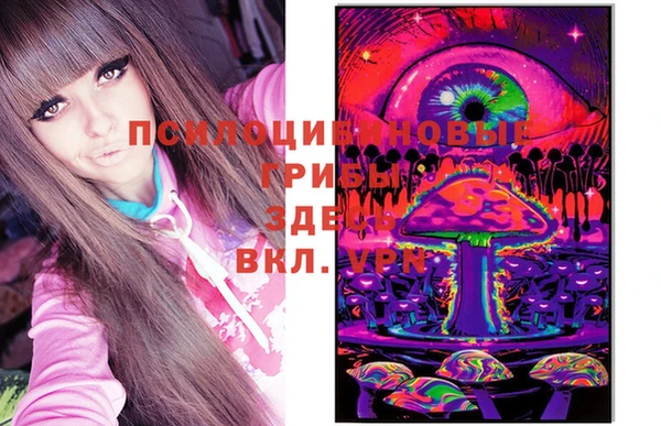 ешки Балахна