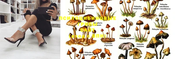 СК Касимов