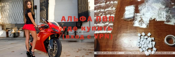 a pvp Аркадак